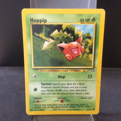 Hoppip