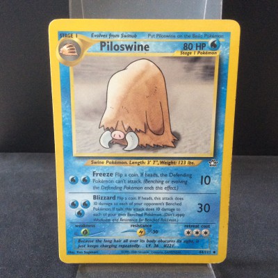 Piloswine