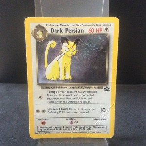 Dark Persian