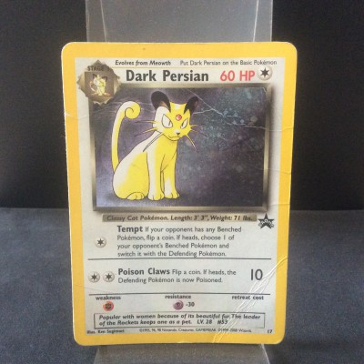 Dark Persian