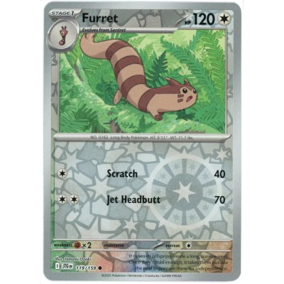 Furret