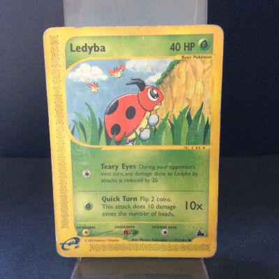 Ledyba