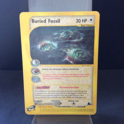 Buried Fossil