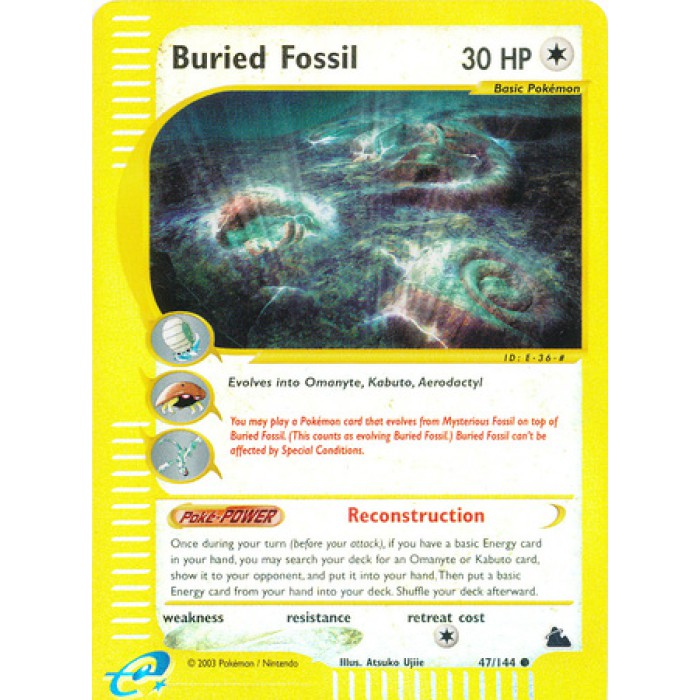 Buried Fossil
