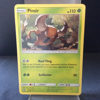 Pinsir