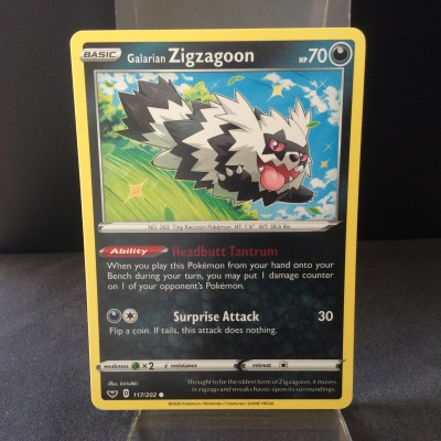 Galarian Zigzagoon