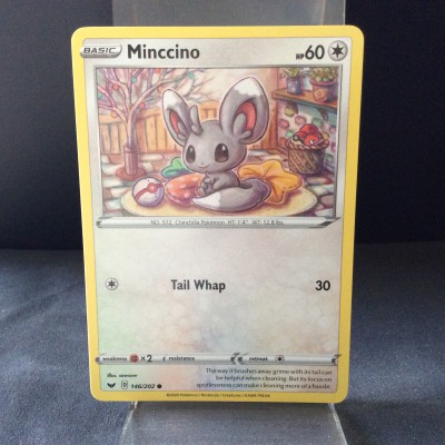 Minccino