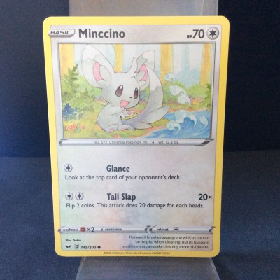 Minccino