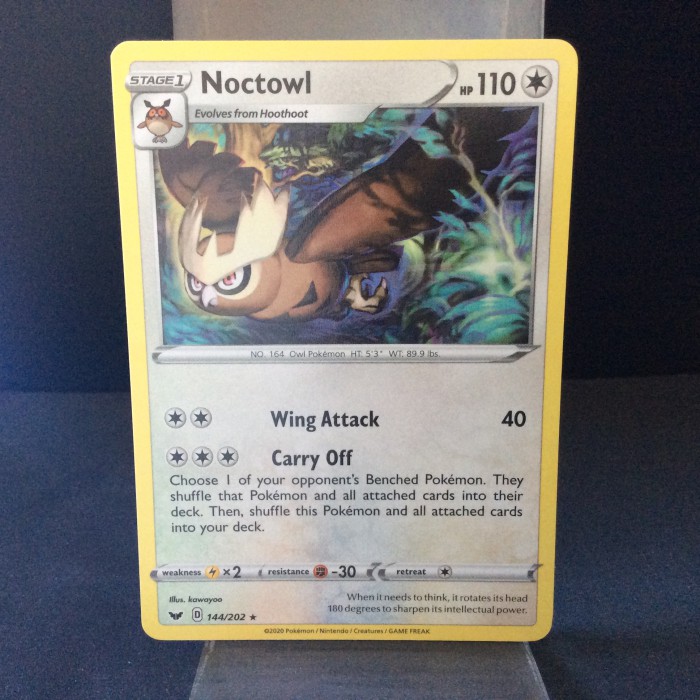 Noctowl