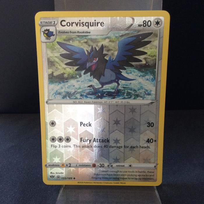Corvisquire