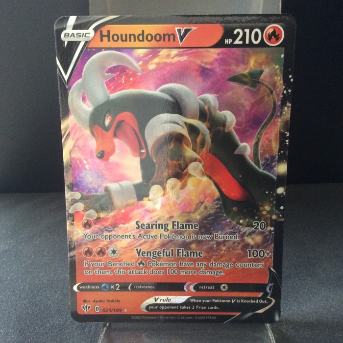 Houndoom V
