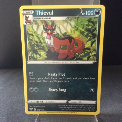 Thievul