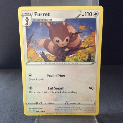 Furret
