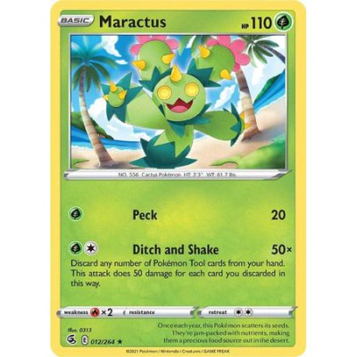 Maractus