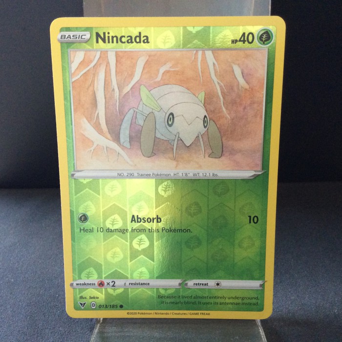 Nincada
