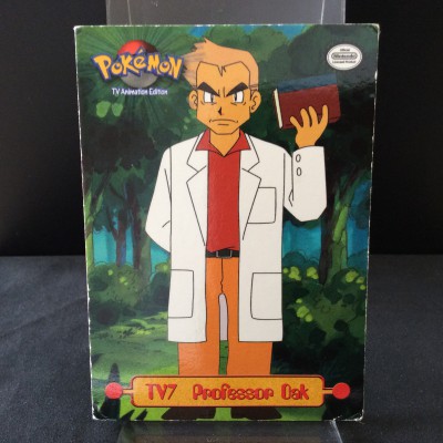 TV7 Professor Oak