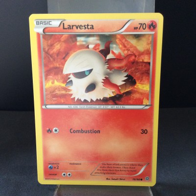 Larvesta