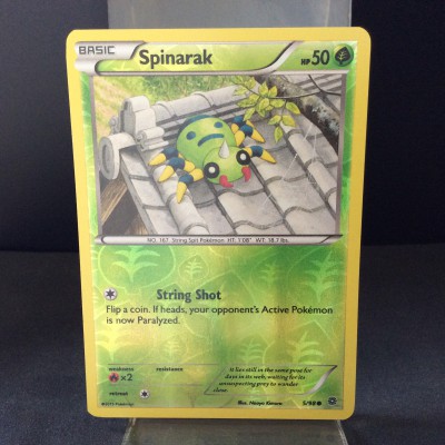 Spinarak