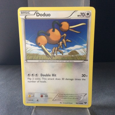Doduo