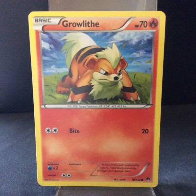 Growlithe