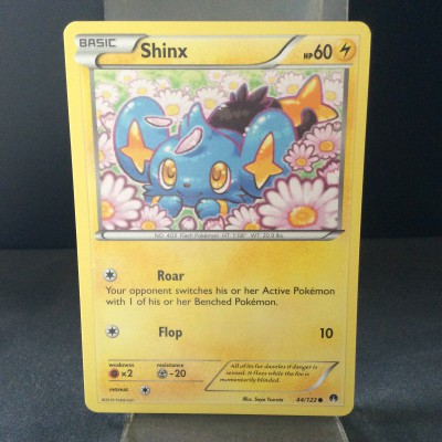 Shinx