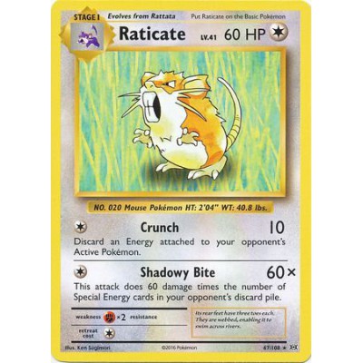 Raticate