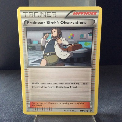 Professor Birch's Observations