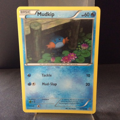 Mudkip