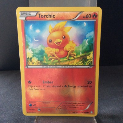 Torchic