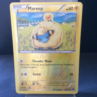 Mareep