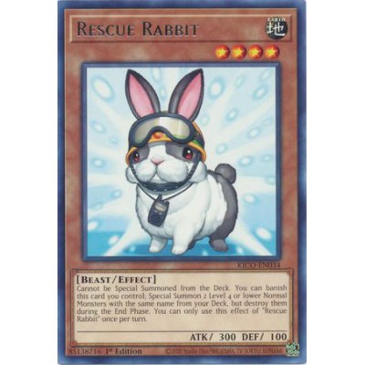 Rescue Rabbit