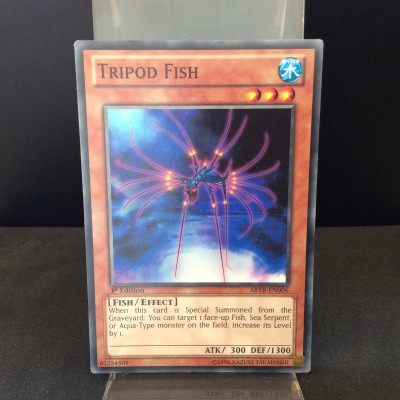 Tripod Fish