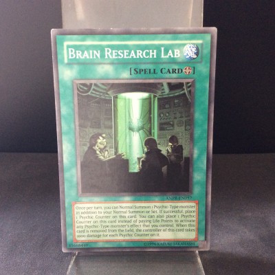 Brain Research Lab