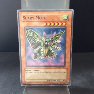 Scary Moth