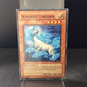 Sunlight Unicorn