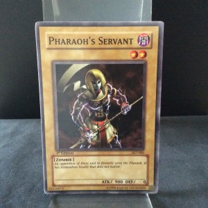 Pharaoh's Servant