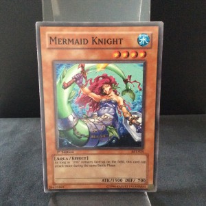 Mermaid Knight