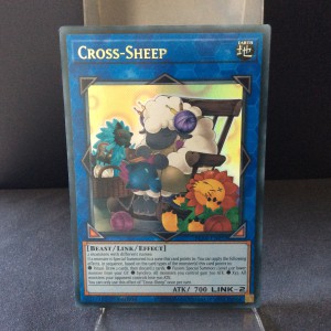 Cross-Sheep