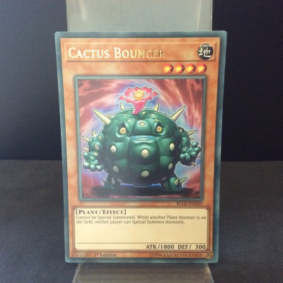 Cactus Bouncer