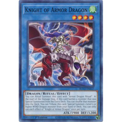 Knight of Armor Dragon