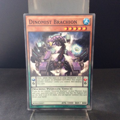 Dinomist Brachion