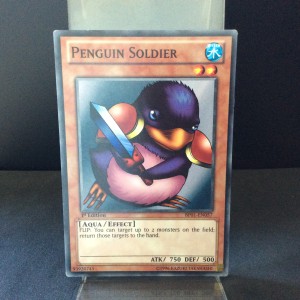 Penguin Soldier