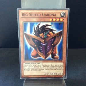 Big Shield Gardna