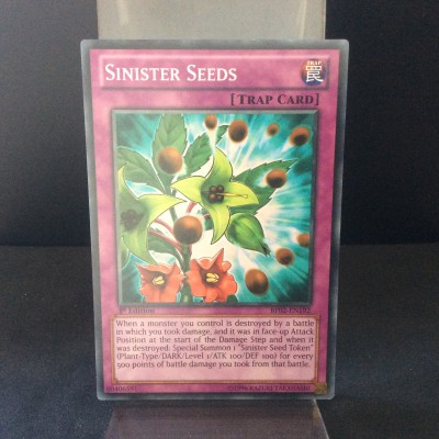 Sinister Seeds
