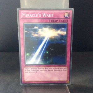 Miracle's Wake