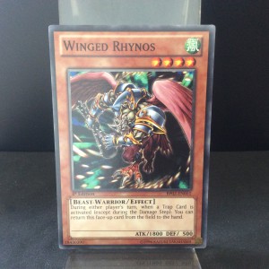 Winged Rhynos