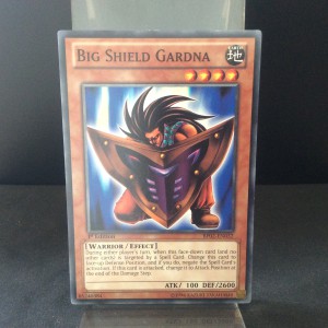 Big Shield Gardna