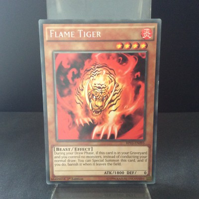 Flame Tiger