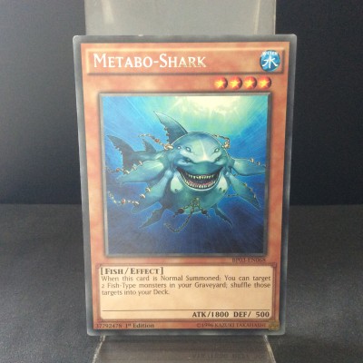 Metabo-Shark