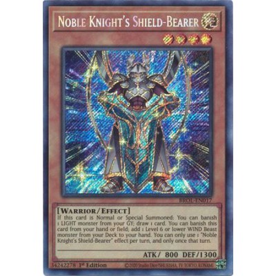 Noble Knight's Shield-Bearer